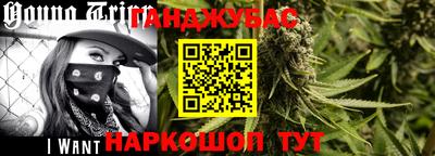 мдпв Славгород