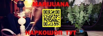 мдпв Славгород