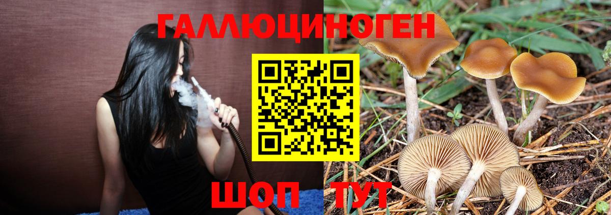 Галлюциногенные грибы Cubensis Набережные Челны