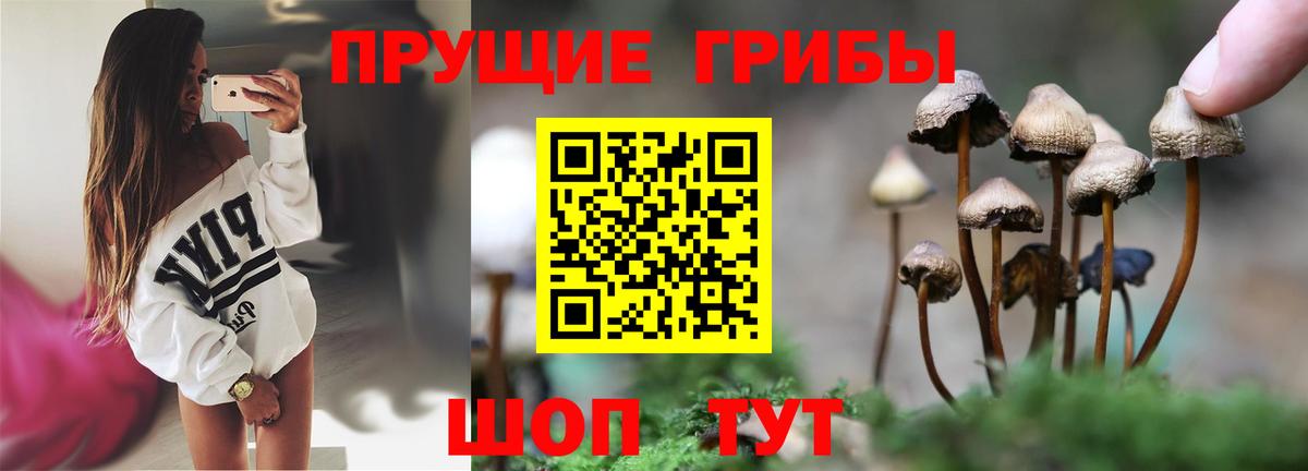 Псилоцибиновые грибы мицелий  Вход с VPN  Набережные Челны 